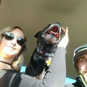 Meet your Posher, Zak